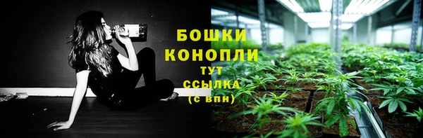 ALPHA PVP Беломорск